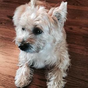 Meet your Posher, Jana